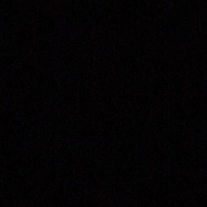 Meet your Posher, Gianna